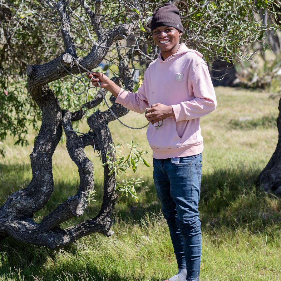 why-it-matters-image